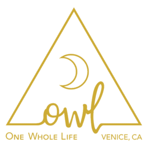 OWL Venice