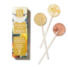 Beneficial Bee & Butterfly Seed Bearing Lollipop 3 Pack 1.5oz